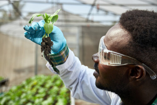 Associate of Science in Natural Sciences | Clinton College